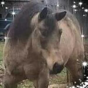 Meet your Posher, Marybeth